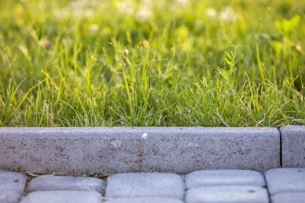 Closeup of pavement curb with green grass lawn behind